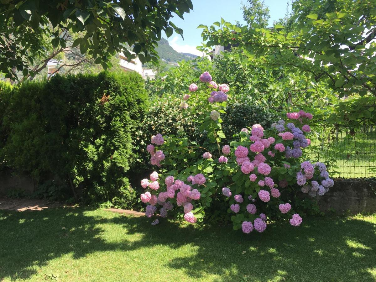 Apartment Villa Huber Bolzano Eksteriør bilde